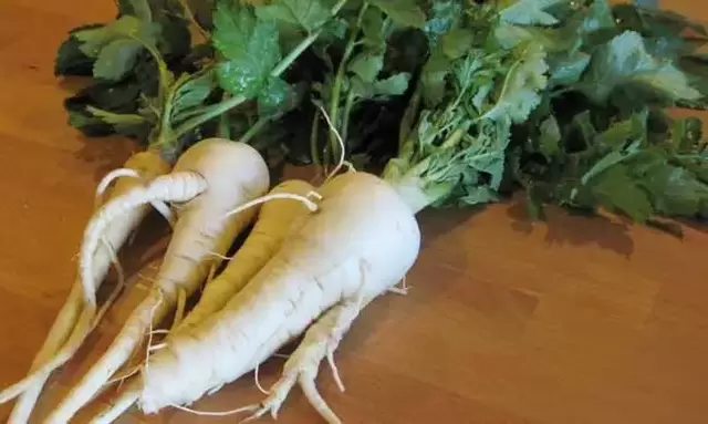 Using parsnip root as a seasoning can increase effectiveness. 